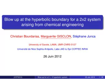 Blow up at the hyperbolic boundary for a 2x2 system  arising from chemical engineering  Christian