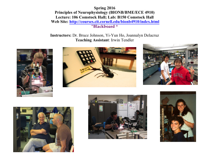 spring 2016 principles of neurophysiology bionb bme ece