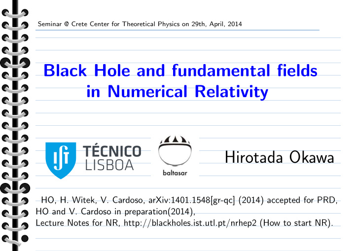 black hole and fundamental fields in numerical relativity