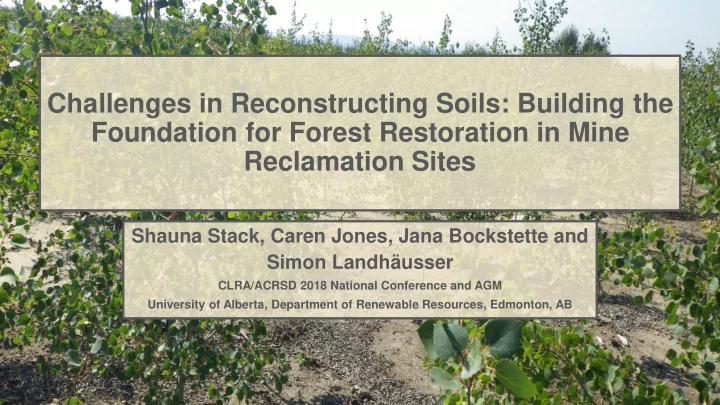 foundation for forest restoration in mine