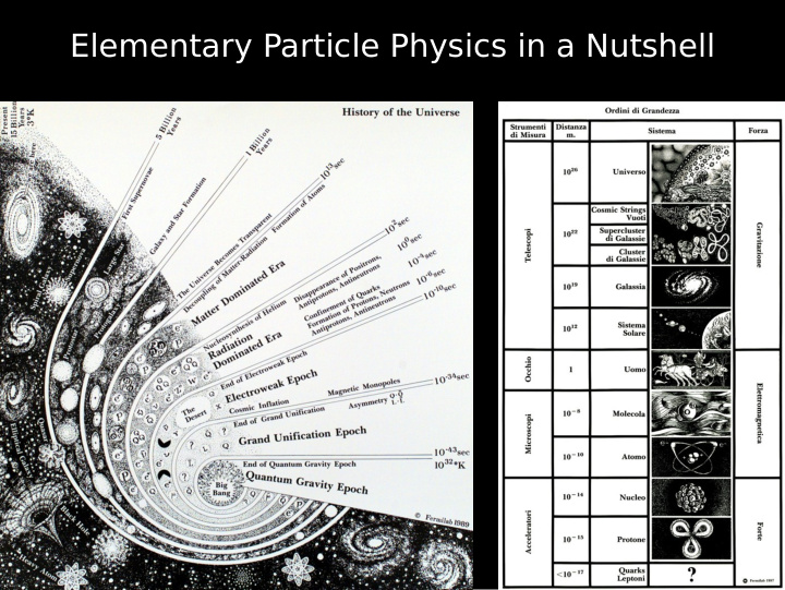 elementary particle physics in a nutshell
