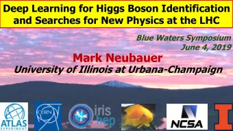 Mark Neubauer  University of Illinois at Urbana-Champaign  The Pursuit of Particle Physics  To