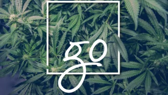 Agenda  Overview  System Workflow  Payment Processing Flow  Participants  Patients