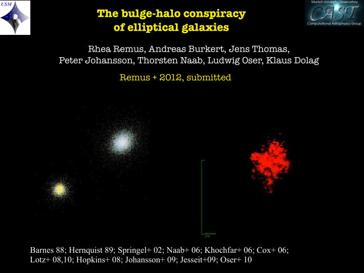 the bulge halo conspiracy of elliptical galaxies