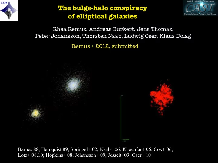 the bulge halo conspiracy of elliptical galaxies