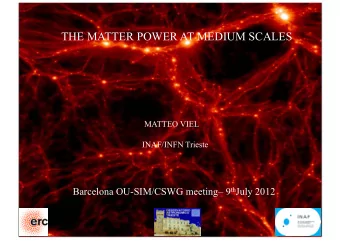 THE MATTER POWER AT MEDIUM SCALES  MATTEO VIEL  INAF/INFN Trieste Barcelona OU-SIM/CSWG meeting