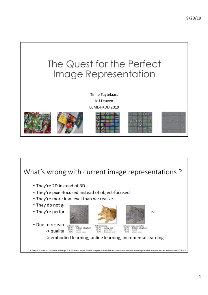 the quest for the perfect image representation
