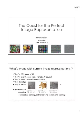 The Quest for the Perfect  Image Representation  Tinne Tuytelaars  KU Leuven  ECML-PKDD 2019