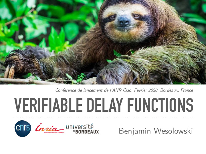 verifiable delay functions