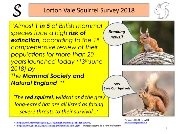 lorton vale squirrel survey 2018