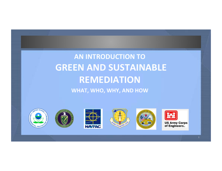 green and sustainable remediation