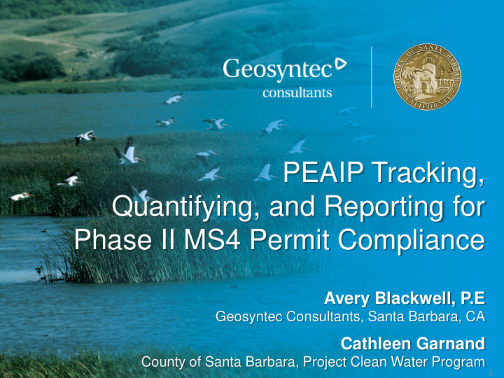 peaip tracking quantifying and reporting for phase ii ms4