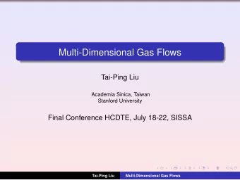 Multi-Dimensional Gas Flows  Tai-Ping Liu  Academia Sinica, Taiwan  Stanford University  Final