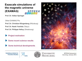 (EXAMAG)  Prof. Dr. Volker Springel  Other EXAMAG PIs: Prof. Dr. Christian Klingenberg (Wrzburg)