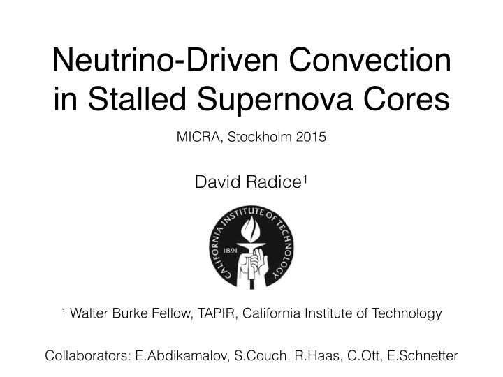 neutrino driven convection in stalled supernova cores