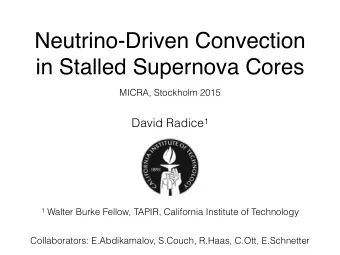 Neutrino-Driven Convection  in Stalled Supernova Cores  MICRA, Stockholm 2015 David Radice 1 1