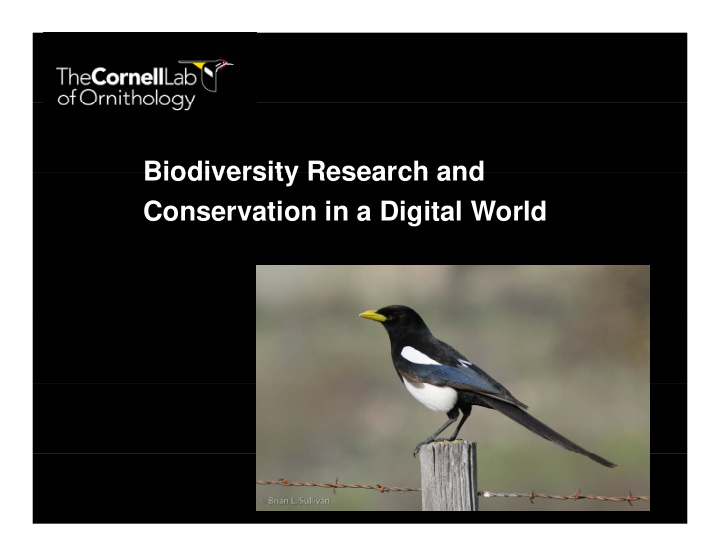 biodiversity research and biodiversity research and