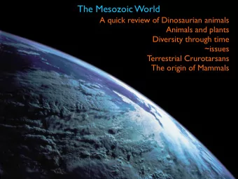 The Mesozoic World  A quick review of Dinosaurian animals  Animals and plants  Diversity through