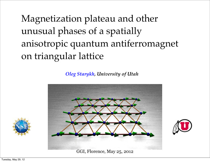 magnetization plateau and other unusual phases of a