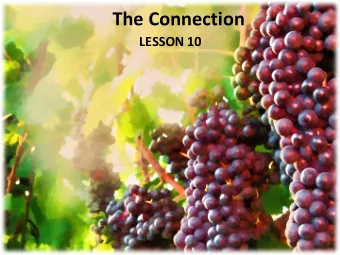 The Connection  LESSON 10  Your Response to the Lesson  What was most interesting in the Bible