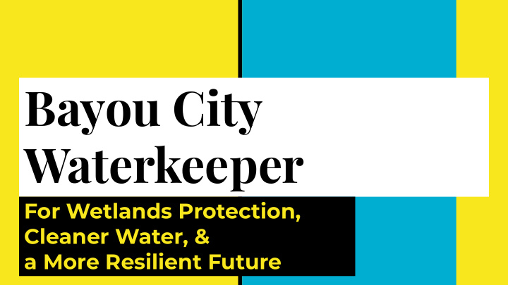 bayou city waterkeeper