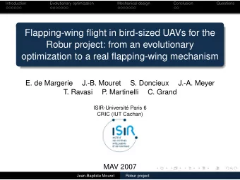 Flapping-wing flight in bird-sized UAVs for the  Robur project: from an evolutionary  optimization