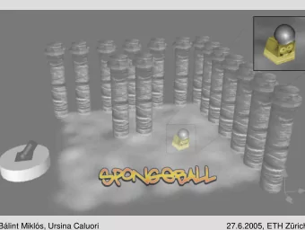 Blint Mikls, Ursina Caluori  27.6.2005, ETH Zrich  Physics   Mass Point System   Leap