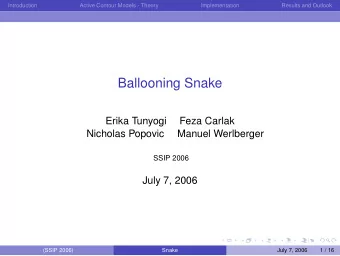 Ballooning Snake  Erika Tunyogi  Feza Carlak  Nicholas Popovic  Manuel Werlberger  SSIP 2006  July