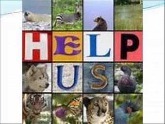 Human Centered Ethics  Duties:  Not to allow the natural environment to deteriorate