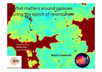What matters around galaxies  during the epoch of reionization  Sarah Bosman  Harley Katz  Laura