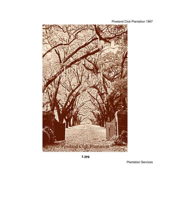 pineland club plantation 1867