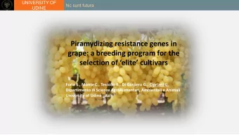 Piramydizing resistance genes in  grape: a breeding program for the selection of elite