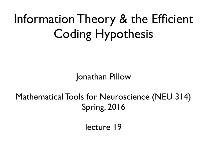 information theory the efficient coding hypothesis