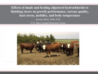 heat stress, mobility, and body temperature  Kristin Hales, PhD, PAS  U.S. Meat Animal Research