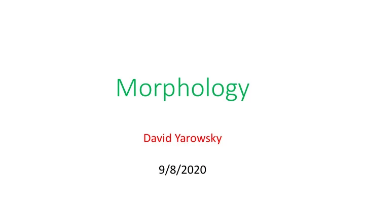 morphology