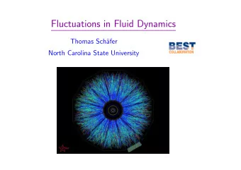 Fluctuations in Fluid Dynamics  Thomas Sch  afer  North Carolina State University  Why consider