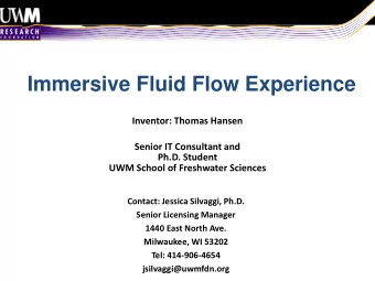 Immersive Fluid Flow Experience  Inventor: Thomas Hansen  Senior IT Consultant and  Ph.D. Student