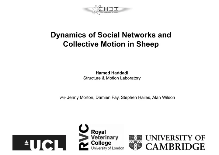 dynamics of social networks and collective motion in sheep