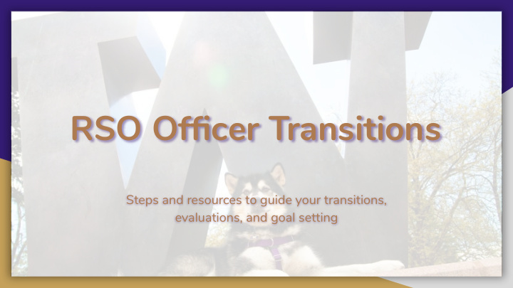 rso officer transitions