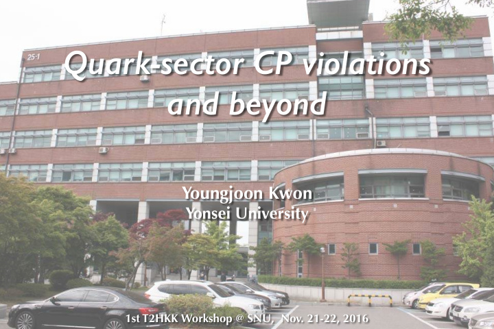 quark sector cp violations and beyond