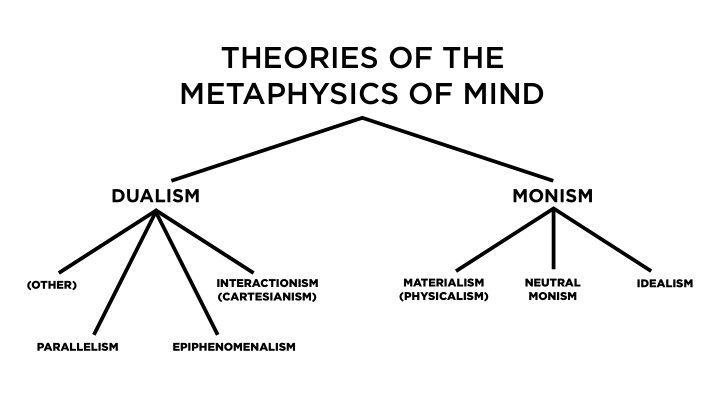theories of the metaphysics of mind