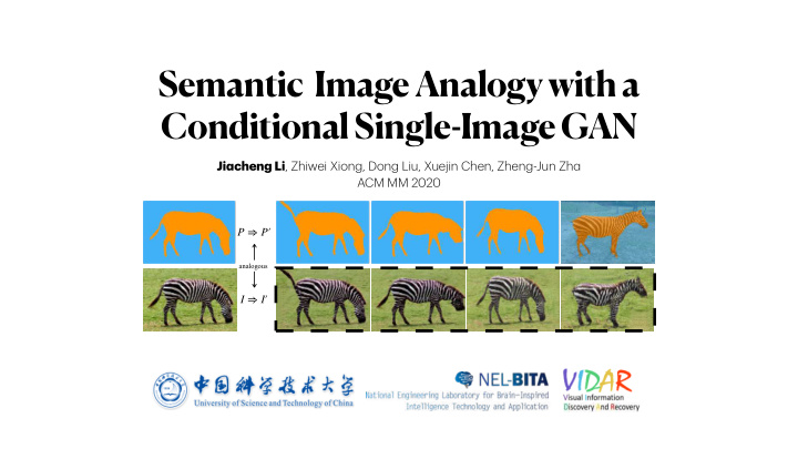 semantic image analogy with a conditional single image gan