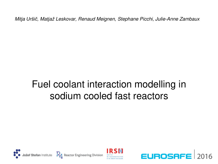 fuel coolant interaction modelling in sodium cooled fast