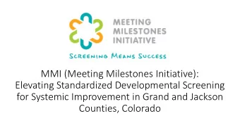 MMI (Meeting Milestones Initiative):  Elevating Standardized Developmental Screening  for Systemic