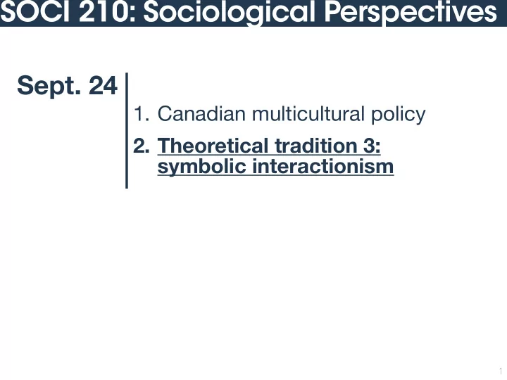 soci 210 sociological perspectives