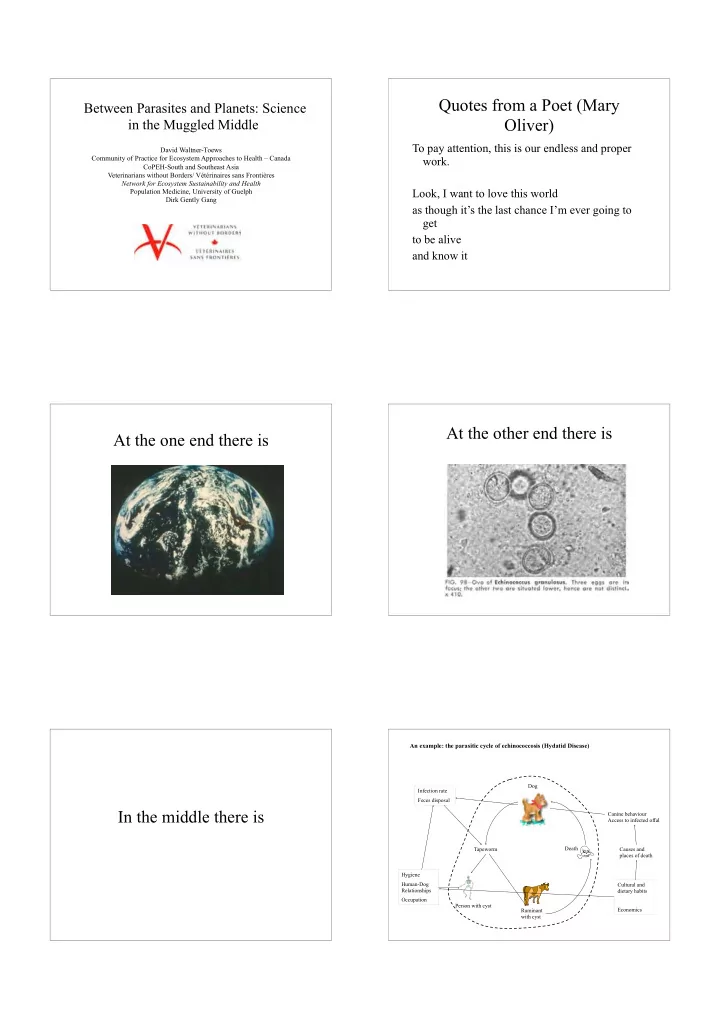 quotes from a poet mary
