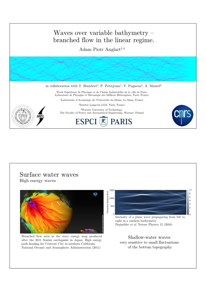 waves over variable bathymetry branched flow in the