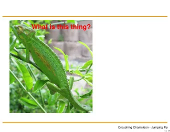 What is this thing?  Crouching Chameleon - Jumping Fly   p. 1/1  What is this thing?  What do