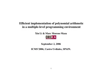Efficient implementation of polynomial arithmetic  in a multiple-level programming environment  Xin