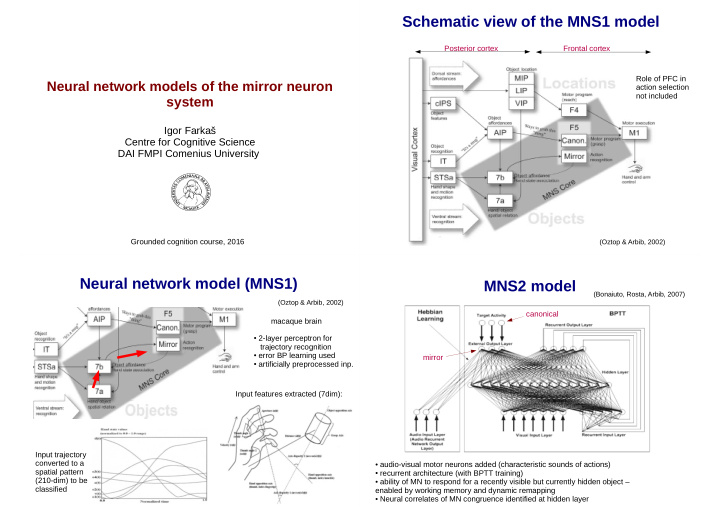 schematic view of the mns1 model